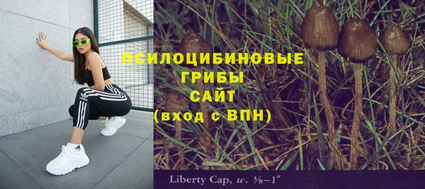 a pvp Баксан